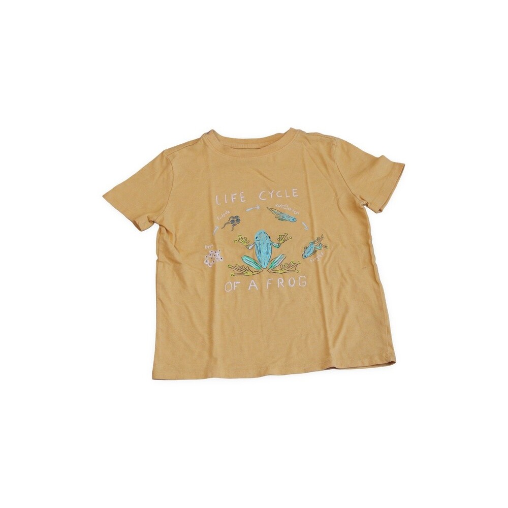 Children's T-Shirt Size 6-7y Tan Frog Life Cycle Graphic